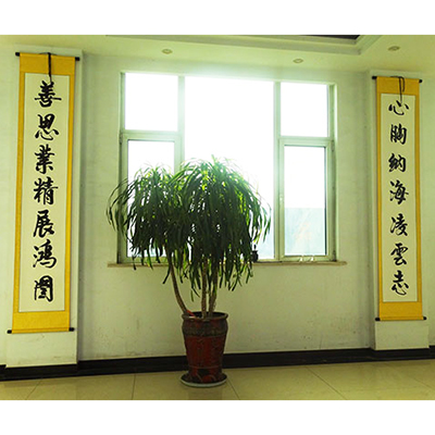 企业文化